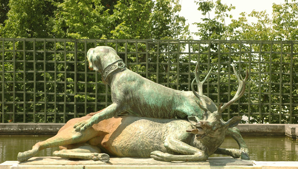 Limier et cerf.  Jacques Houzeau