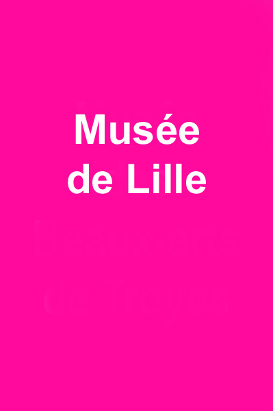 Musée de Lille